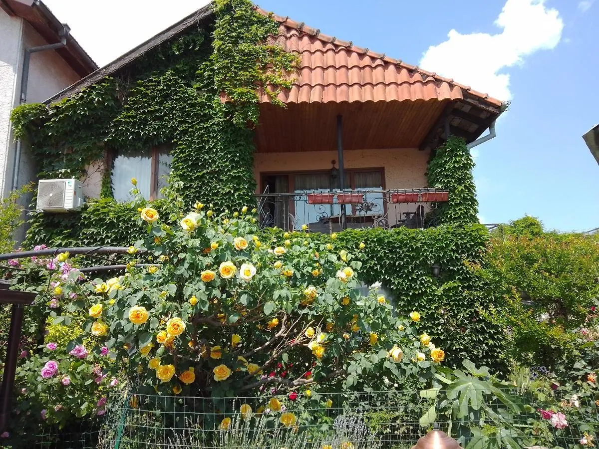 Guest House Amazonia Varna 0*,  Bulgarije